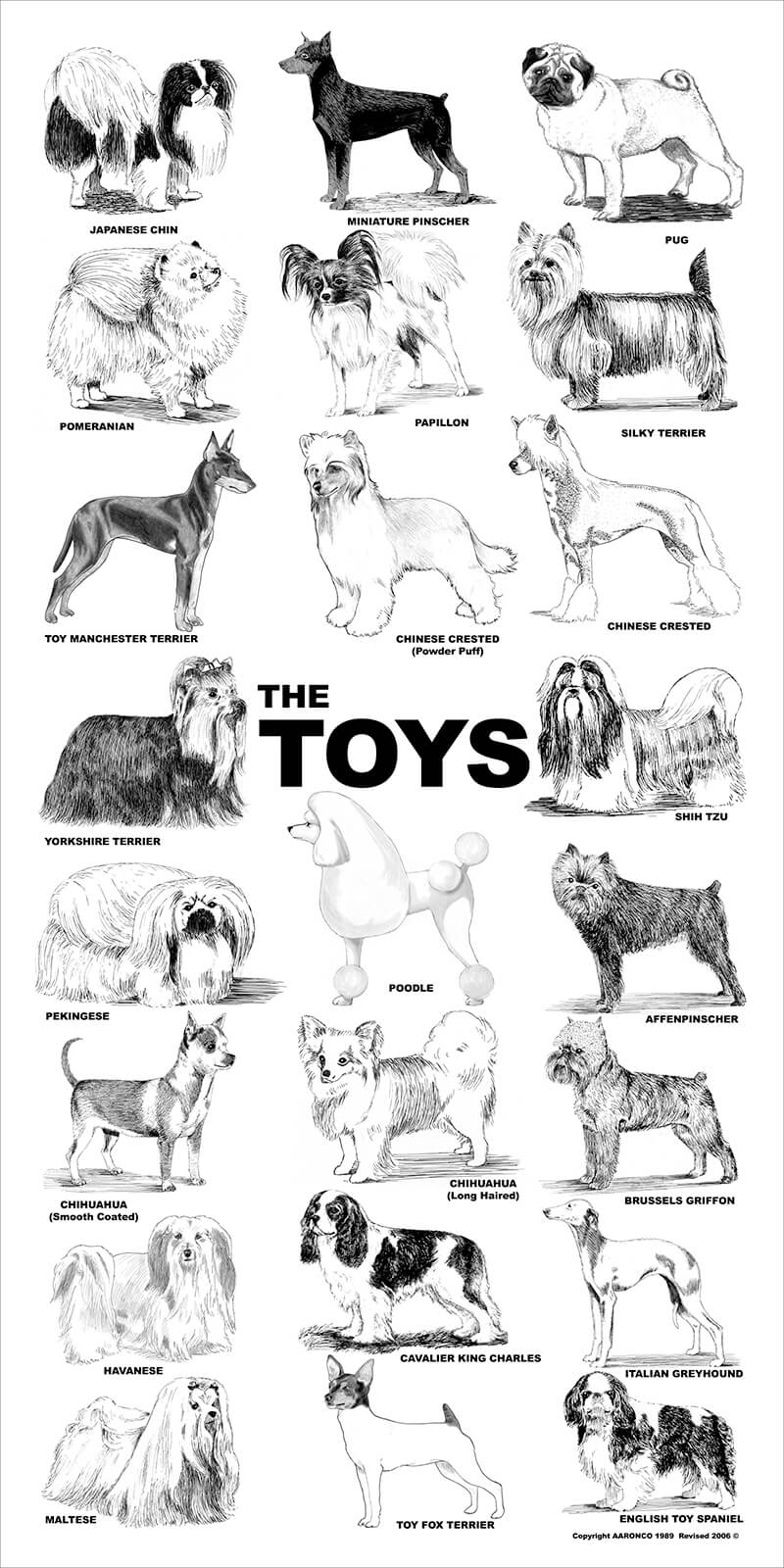 Aaronco Poster - The Toys - Barkleigh Store