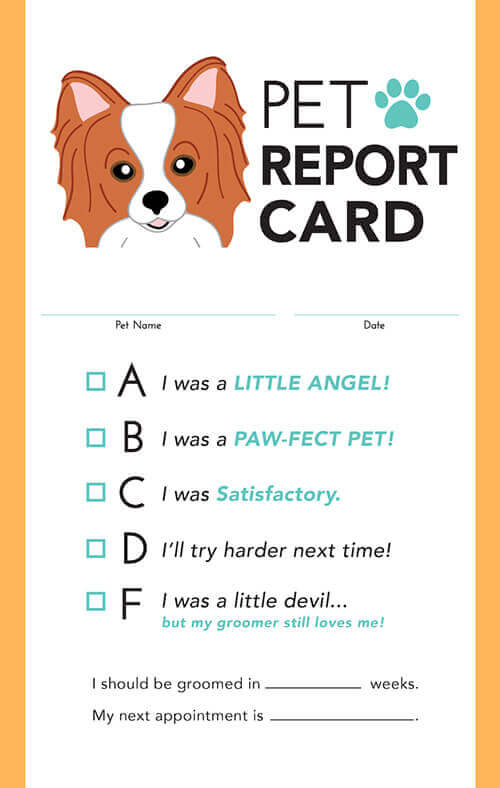 modern-pet-report-card-barkleigh-store